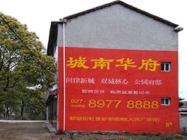 盐边百分之90的人都不了解的农村墙体广告