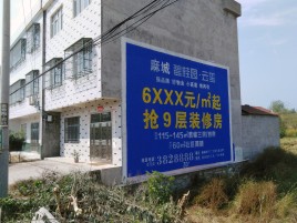盐边墙体广告质量分析