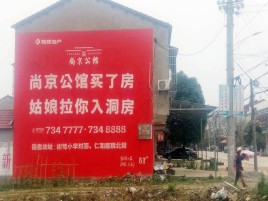 盐边墙体广告在乡镇、农村市场的媒体优势