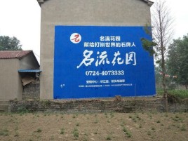 盐边农村墙体广告的长尾效应